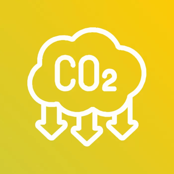 CO2 icon